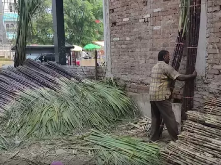 यूपी में गन्ना किसानों के लिए बड़ी खबर: अब GPS से होगा फसल का सर्वे, सीएम योगी का निर्देश