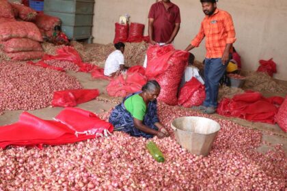 Onion farmers seek ₹10,000 crore revival package, stable export policy from Centre