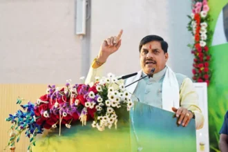 मध्य प्रदेश में अब जंगली भैंस के पुनर्स्थापन की तैयारी