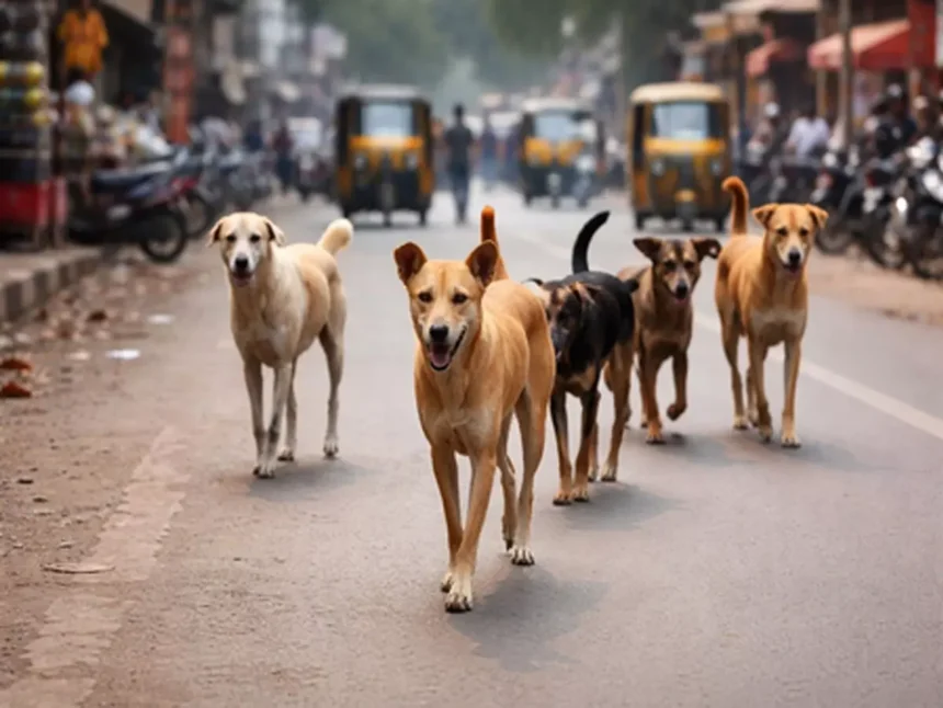 कानपुर में रॉटविलर का कहर: महिला पर 13 जगह हमला