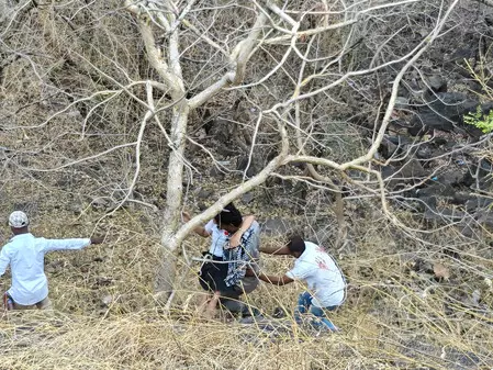 महाराष्ट्र: गोंदिया में दो ट्रेलर की टक्कर में ड्राइवर की मौत, जलगांव में एक पेड़ ने बचाई चार लोगों की जान